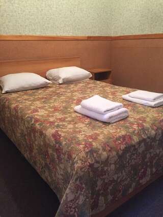 Гостиница Амалия Адлер Бюджетный двухместный номер с 1 кроватью-5